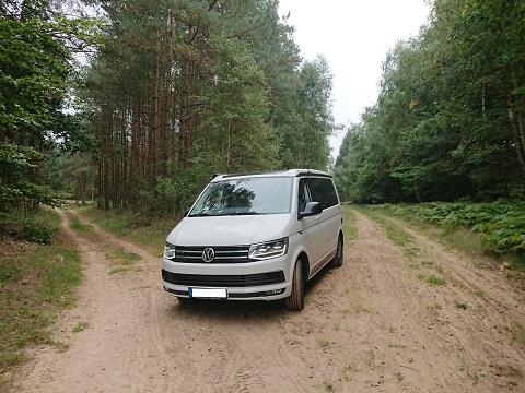 VW T6 4 Motion im Wald