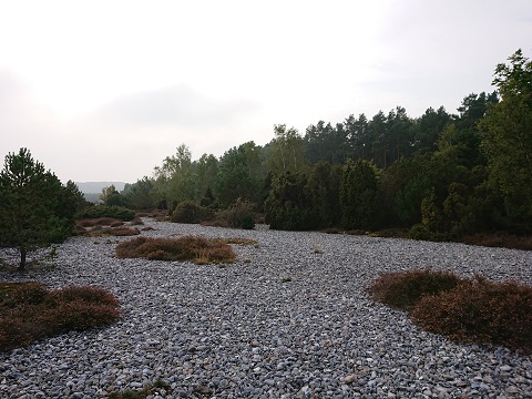 Feuersteinfelder Rügen